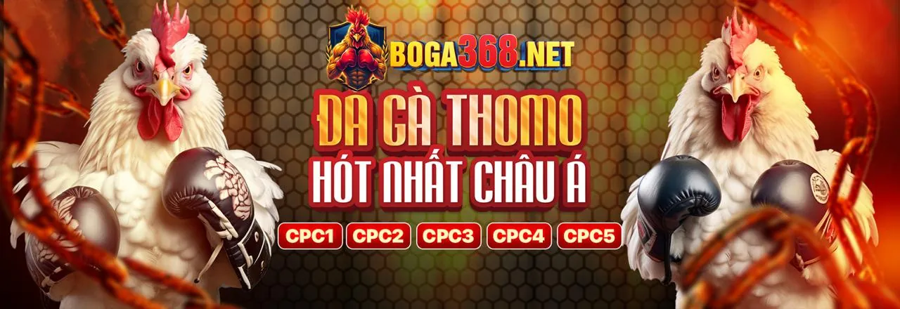Tổng quan các môn thể thao tại Kwin Casino