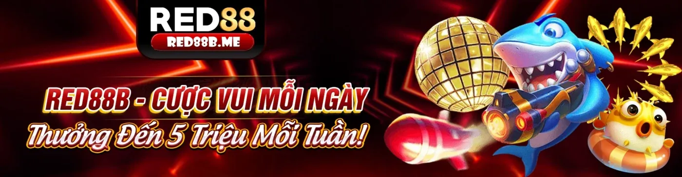 Hình ảnh đại diện Điều Khoản Dịch Vụ Kwin Casino